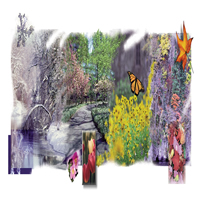 Four Seasons